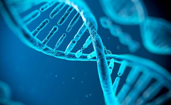 Molécula de ADN, algo tan microscópico con una capacidad gigantesca