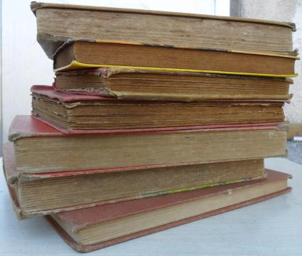 cultura libri programma politico