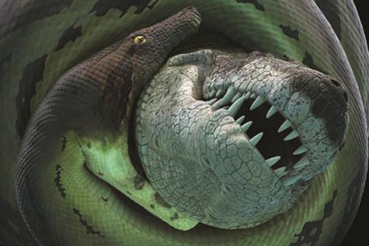 Cobra pré-histórica era maior do que ônibus escolar e devorava ... - com.br