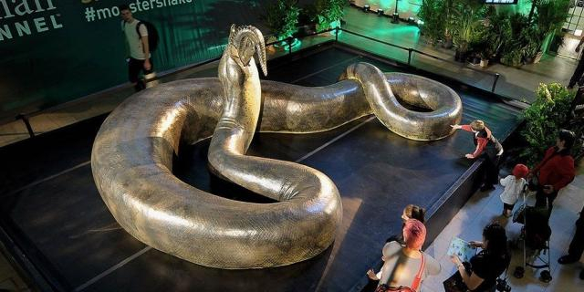 Titanoboa: a serpente pré-história que tinha tamanho de um ônibus - pandastronauta.com