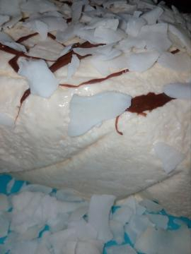Il nostro ottimo semifreddo pronto