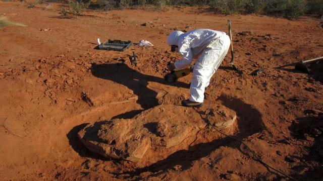 El dinosaurio Ingentia prima vivió hace 205 millones de años