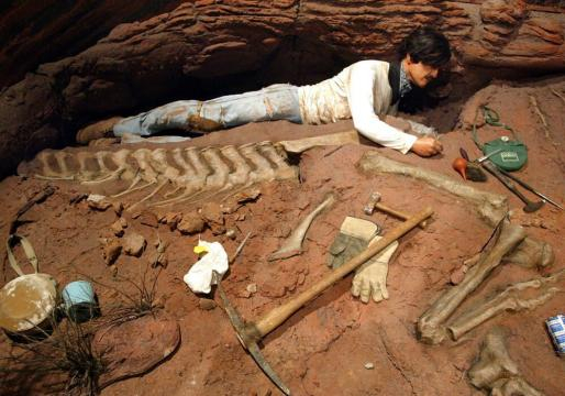 Paleontólogos argentinos hallan el primer dinosaurio gigante que habitó el planeta