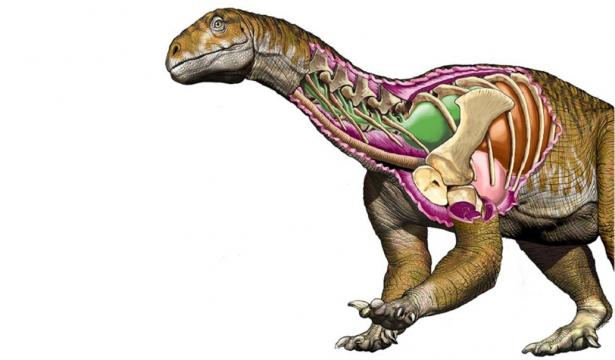 Ingentia tenía cavidades neumáticas en los huesos