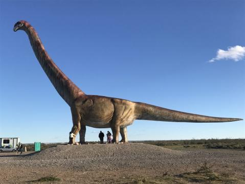 Los titanosaurios, andaban en cuatro patas, tenía el cuello y la cola muy larga y el cráneo pequeño