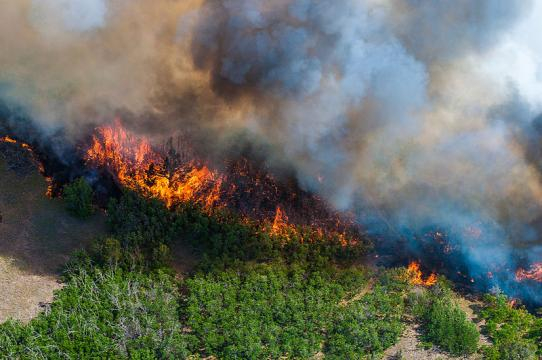 A view of the East Peak wildfire near La Veta, Colorado (Image courtesy - Darin Overstreet, Wikimedia Commons)