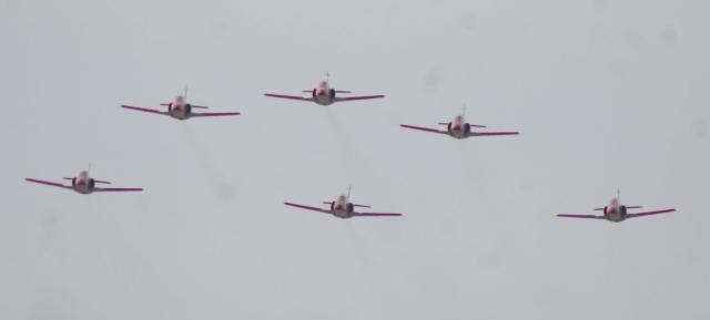 Faormación de C-101 de la Patrulla Águila en una pasada de exhibición