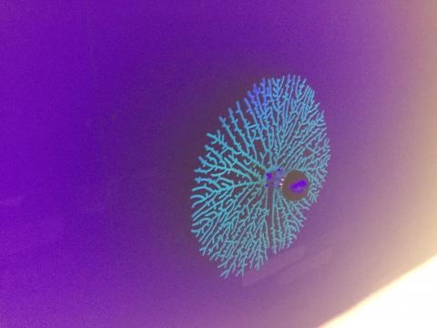 Ikimono Lampshade per migliorare la qualità del sonno