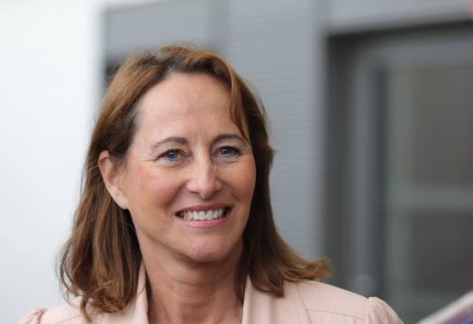 Européennes 2019. Ségolène Royal a dit non : quelle liste pour le ... - lanouvellerepublique.fr