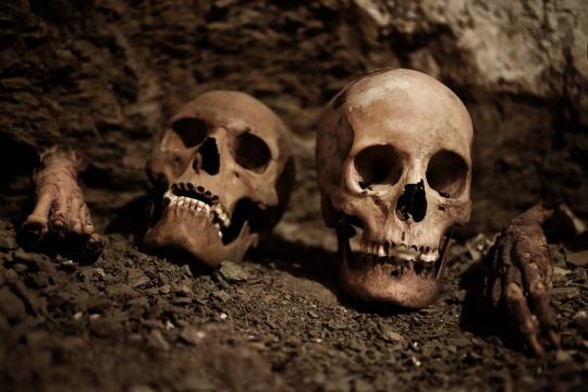 Egipto anuncia hallazgo de tumba