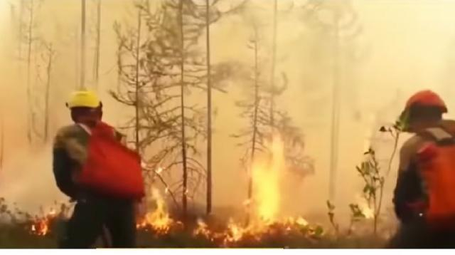 Siberian Arctic average temperature increased by 5 degree Celsius. [Image source/WION YouTube video]