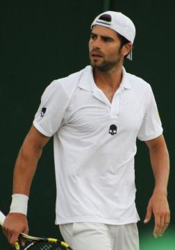 Simone Bolelli - Wikipedia © Creative Commons